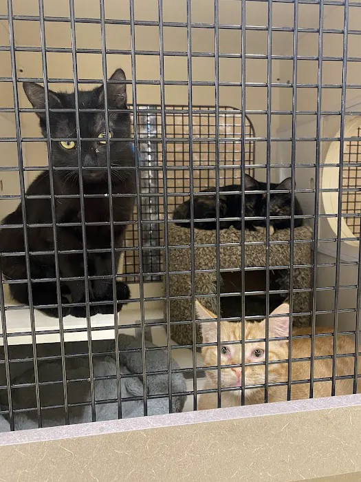 Petco 3