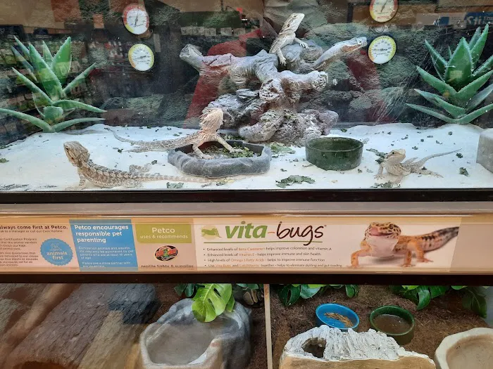 Petco 8