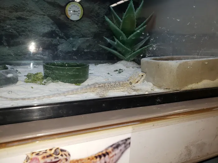 Petco 1