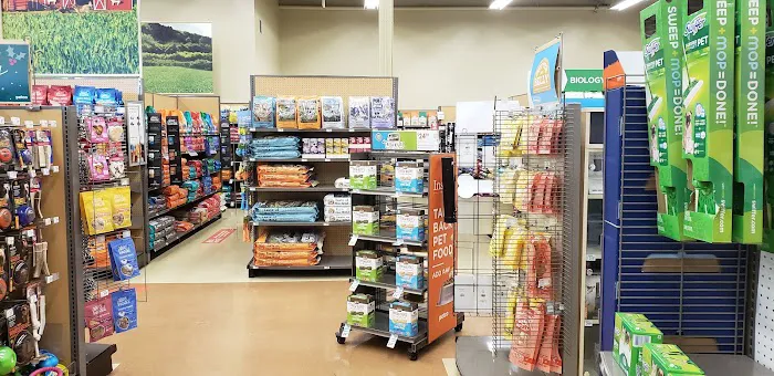 Petco 7