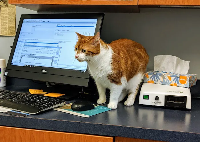 Ardsley Veterinary Associates 5