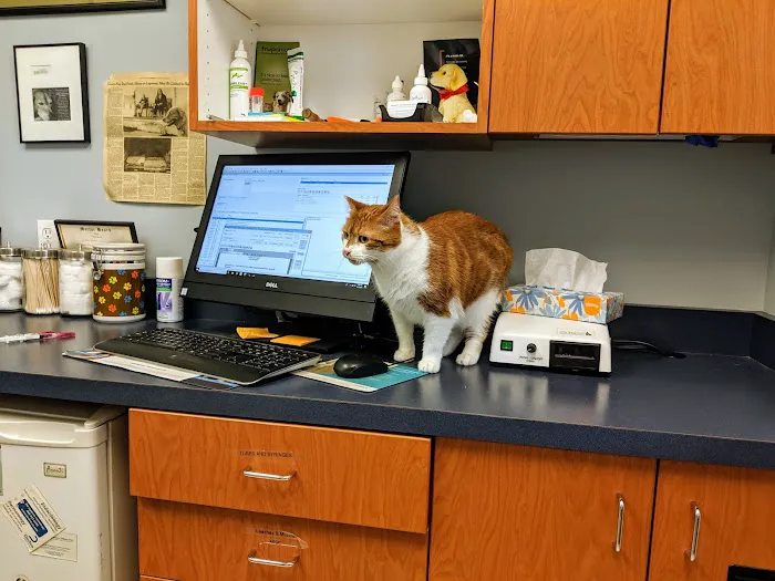 Ardsley Veterinary Associates 3