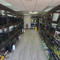 Art Of Aquaria ico
