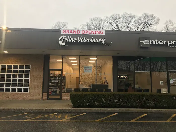 Feline Veterinary Medical Center 10