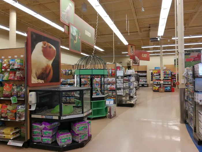 Petco 8