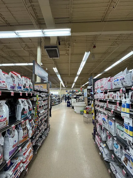 Petco 7