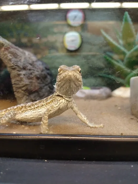 Petco 4