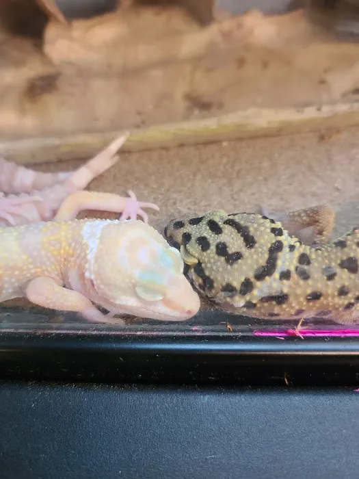 Petco 5