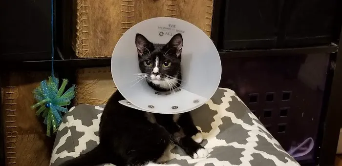 Banfield Pet Hospital 5