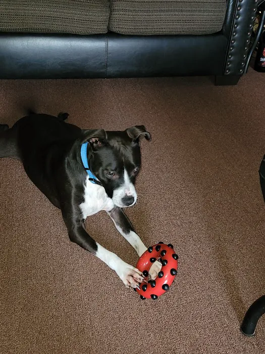 Banfield Pet Hospital 7