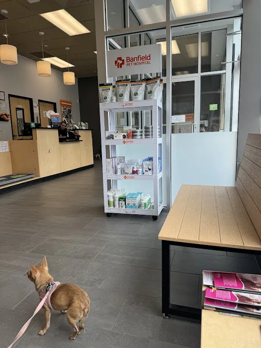Banfield Pet Hospital 3