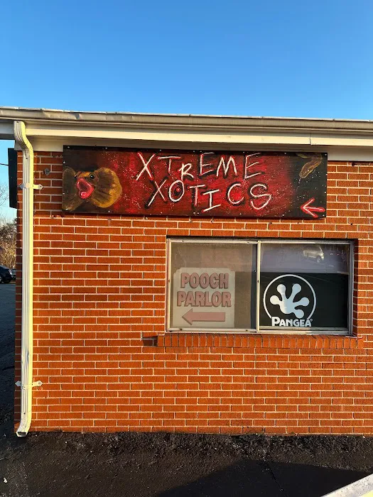Xtreme Xotics 10