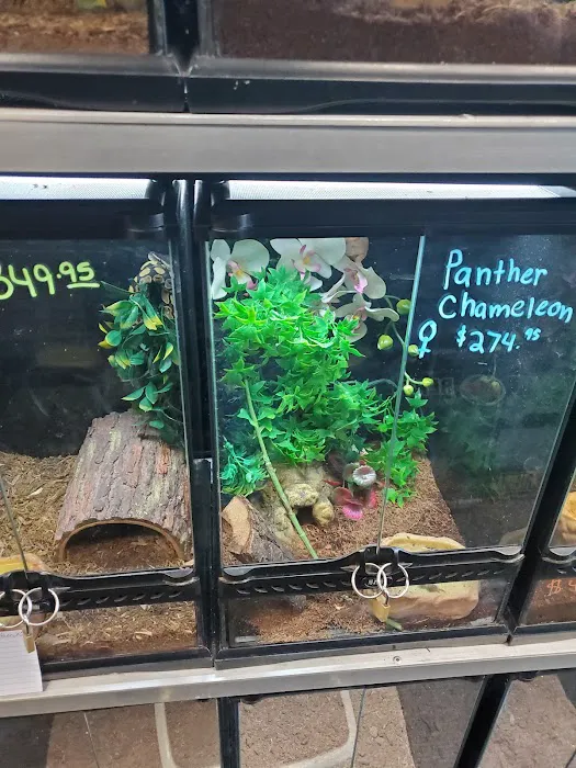 Exotic A.R.C. (Amphibian Reptile Center) 2
