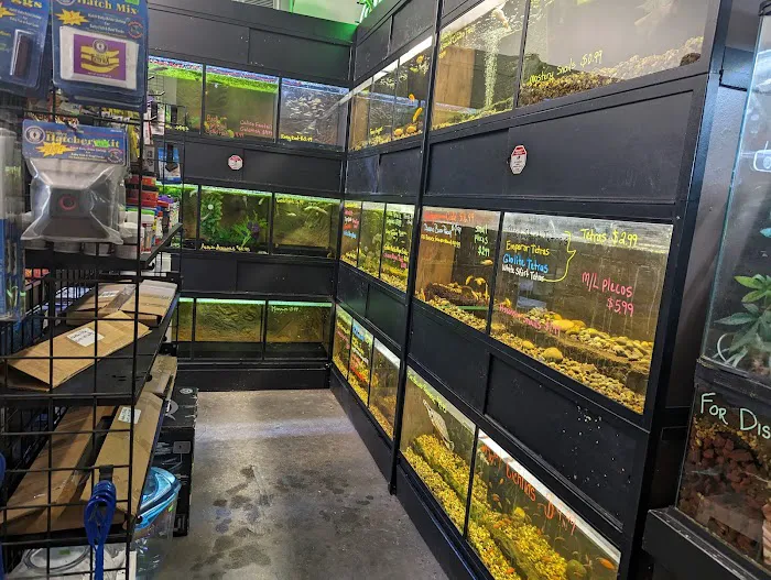 Exotic A.R.C. (Amphibian Reptile Center) 6