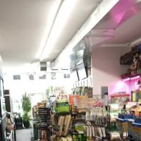 Exotic A.R.C. (Amphibian Reptile Center) ico