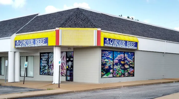 The Corner Reef 9