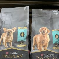 Petco ico