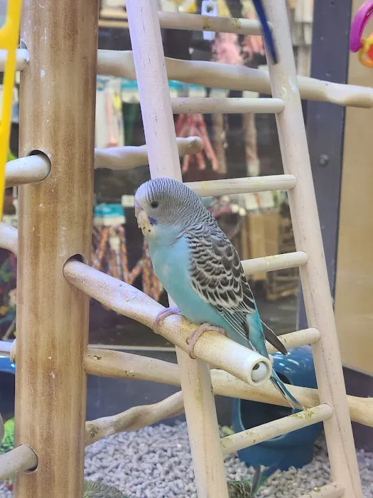 Petco 3