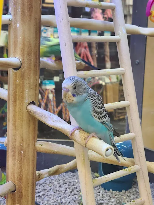 Petco 8