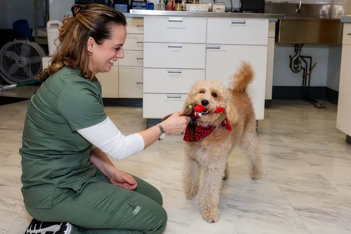 Hartsdale Veterinary Hospital 4