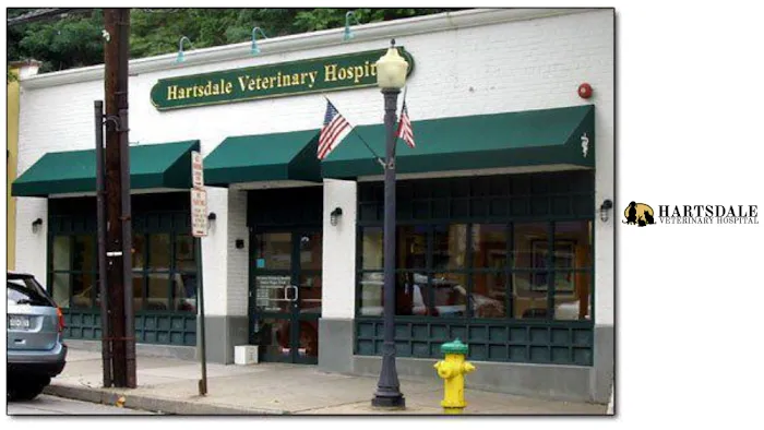 Hartsdale Veterinary Hospital 10