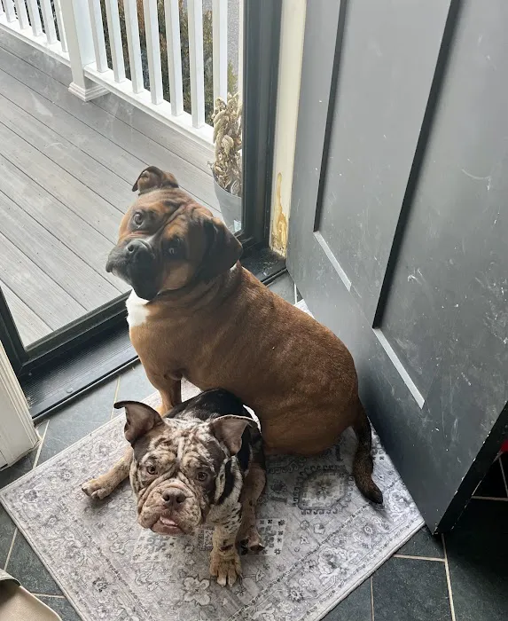 Hartsdale Veterinary Hospital 3