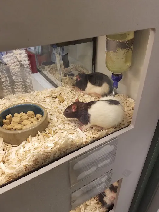 Petland St. Louis 1