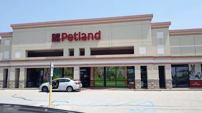 Petland St. Louis 3