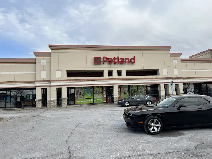 Petland St. Louis 7