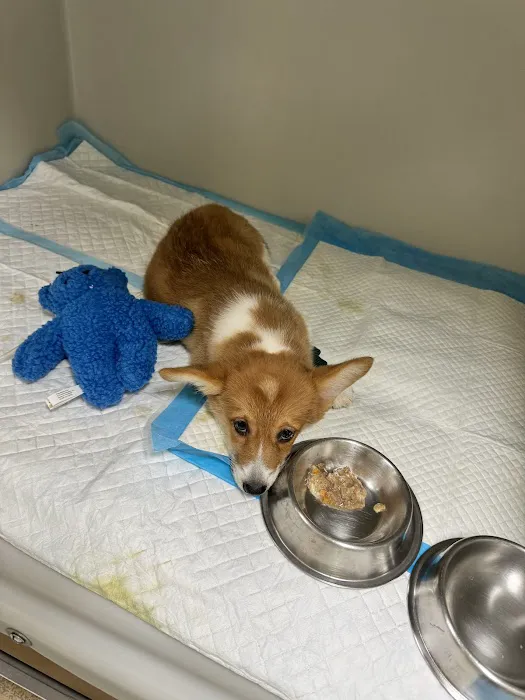 Petland Fenton Crossing 4