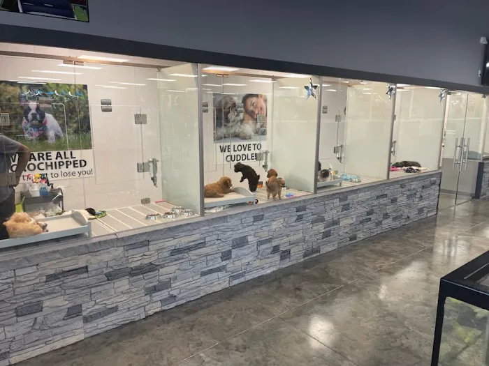 Petland Fenton Crossing 8