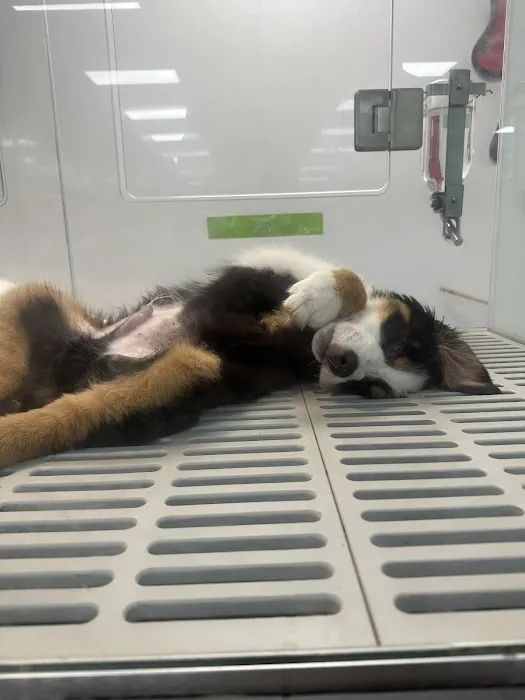 Petland Fenton Crossing 7