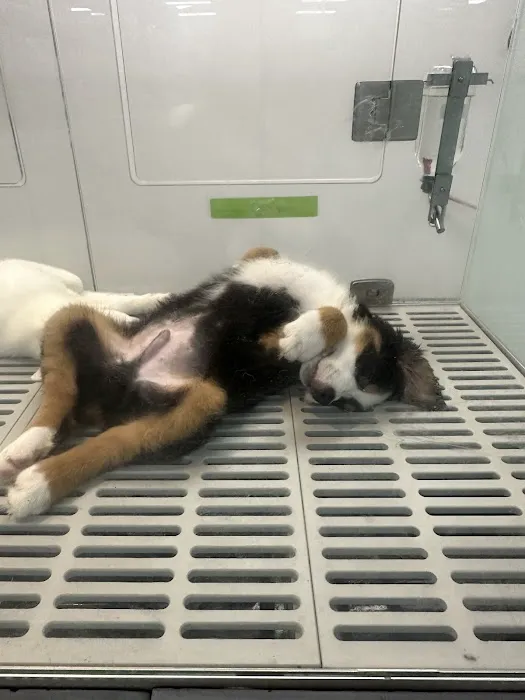Petland Fenton Crossing 3