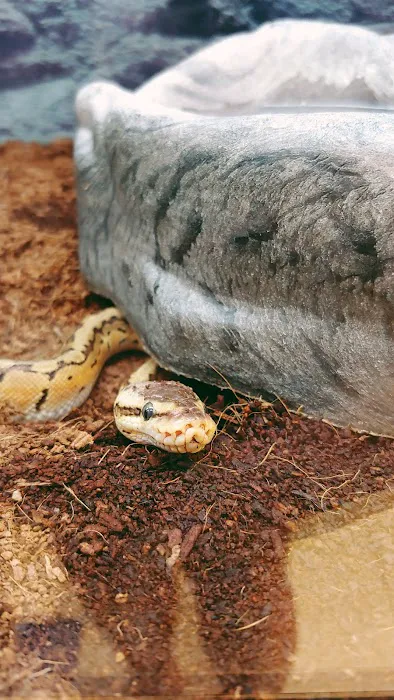 Petco 10