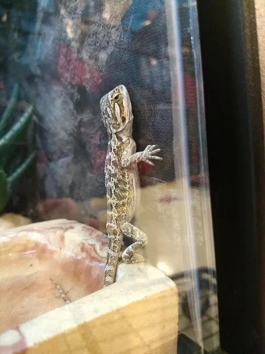 Petco 4