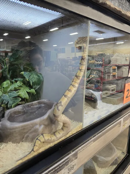 Petco 7