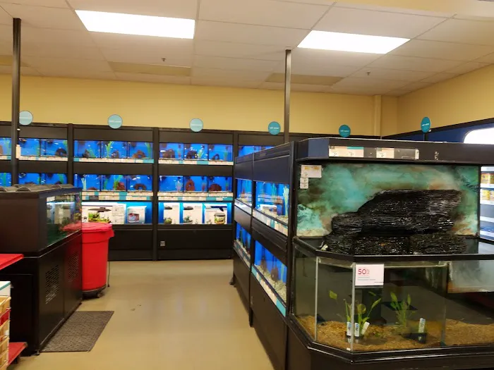 Petco 3