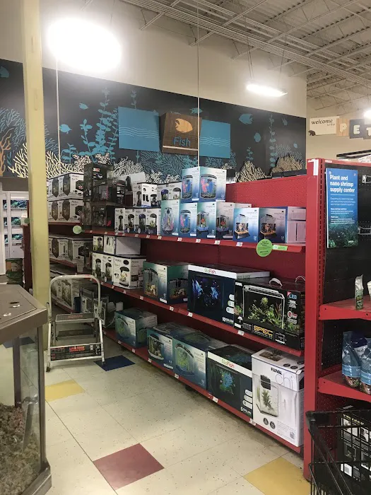 Petco 1