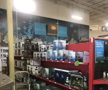 Petco