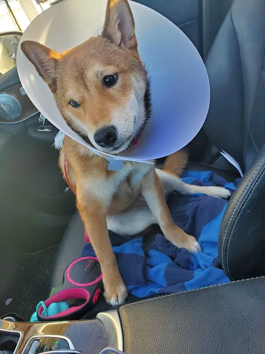 Scarsdale Animal Hospital 9