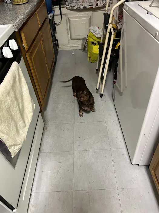 Scarsdale Animal Hospital 2