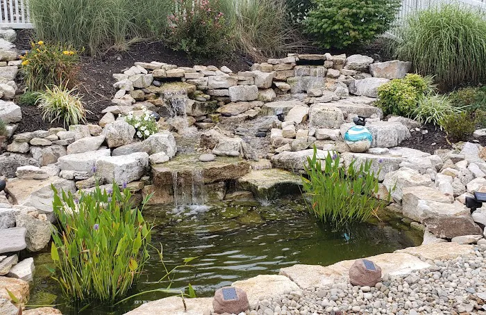 STL Aquatics 1