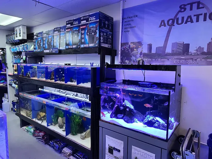 STL Aquatics 6