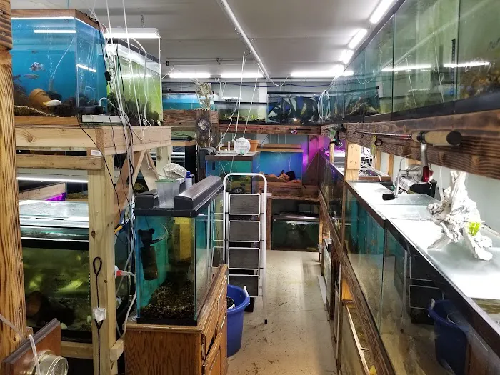 Dave's Cichlids & Water Works 5
