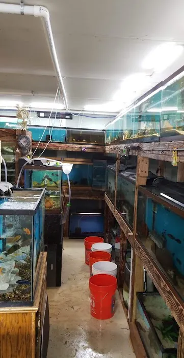 Dave's Cichlids & Water Works 3