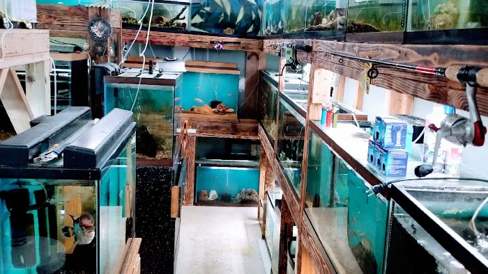 Dave's Cichlids & Water Works 8