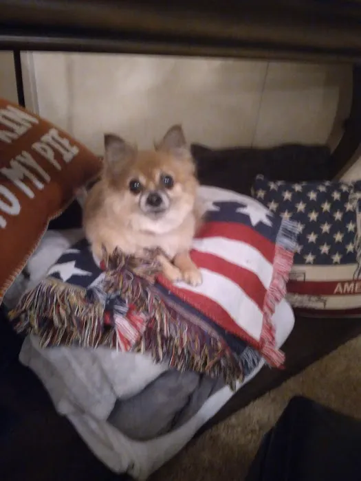 Petco 5
