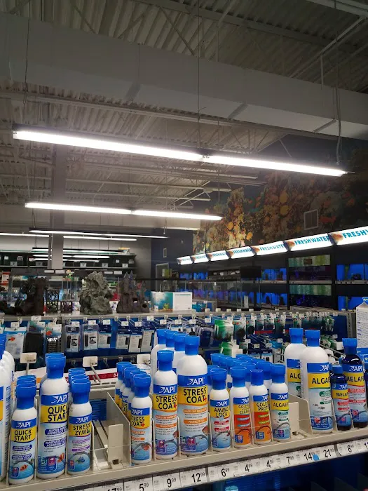 Petco 3