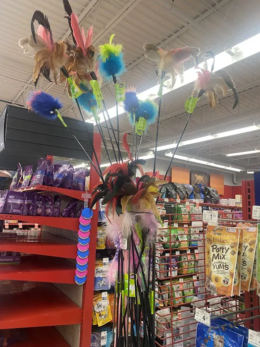 Petco 7