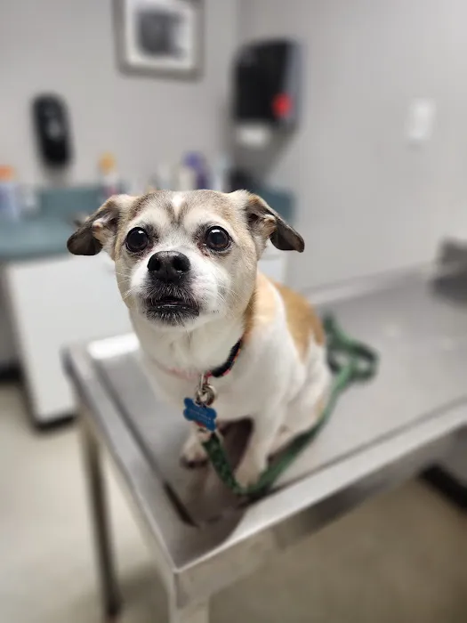 Strong Village Veterinary Center 8